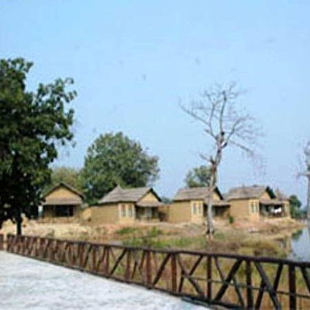 ホテルTiger Lagoon Bandhavgarh National Park エクステリア 写真